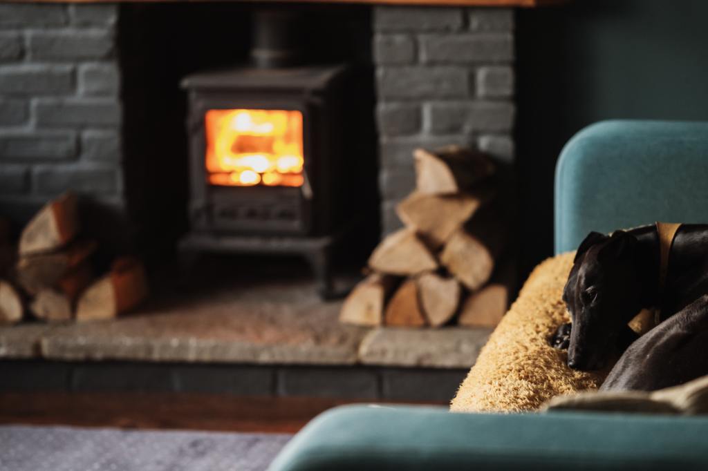 Photo of a dog sleeping on a sofa, in front of a burning log fire. 